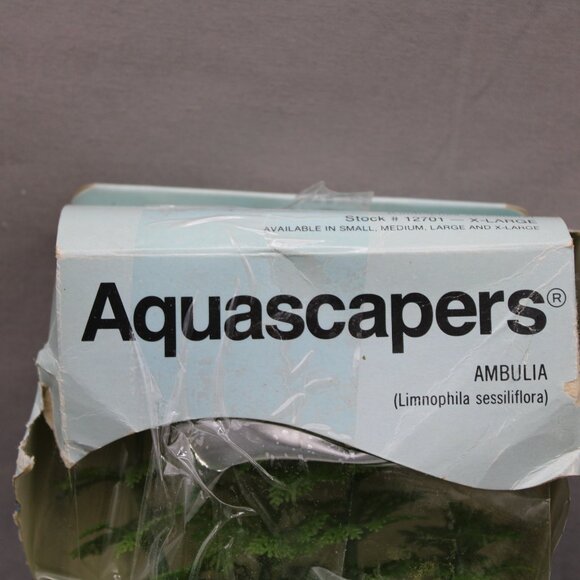Vintage Aquarium Plant -Ambulia by Aquascapers - New In Package - Picture 2 of 7